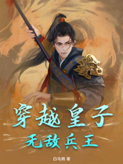 穿越皇子，无敌兵王完整版